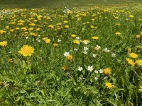 IMG_1292.jpeg
