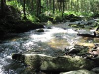Fluss Teisnach.JPG