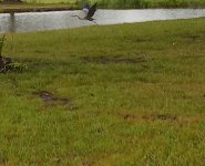 IMG_20250529_075138016~2.jpg