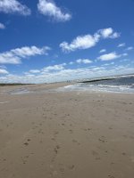 IMG_1517.jpeg