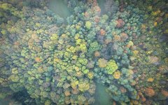 DJI_0288_1.jpg DJI_0288_1.jpg