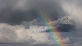 CQ7A8279_1.jpg