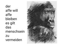 AddText_07-08-02.50.21.jpg