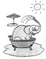 Elefant.jpg