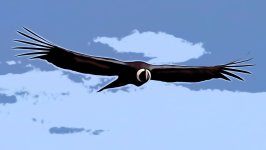 _storage_emulated_0_Pictures_Cartoon_Photo_cartoon1753590476519.jpg _storage_emulated_0_Pictures_Cartoon_Photo_cartoon1753590476519.jpg