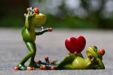Der liebe Frosch.jpg