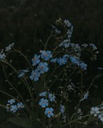 1000060816.jpg