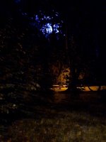 20250910_223736.jpg