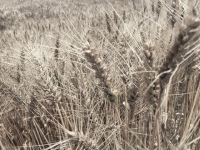 d3qhcfea.png d3qhcfea.png