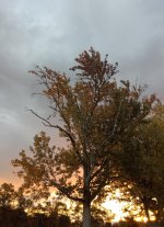 IMG_20251023_073046591.jpg IMG_20251023_073046591.jpg