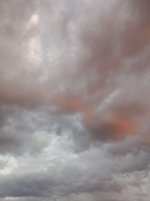 IMG_20251023_072020802.jpg IMG_20251023_072020802.jpg