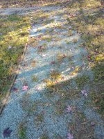 IMG_20251024_094604619.jpg IMG_20251024_094604619.jpg