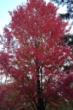 IMG_20251024_072650826.jpg IMG_20251024_072650826.jpg