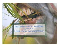 Ein alter Gaul mit Namen Paul.jpg