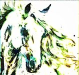 Mein Seelenpferd 1987.jpg