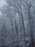 IMG_20251214_070937762.jpg IMG_20251214_070937762.jpg