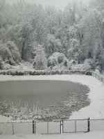 IMG_20251214_094542839.jpg IMG_20251214_094542839.jpg