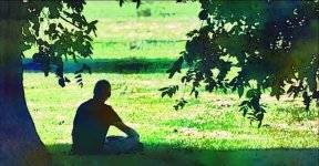 Das ist keine Eiche.jpg