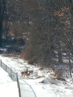 IMG_20260129_112439907.jpg IMG_20260129_112439907.jpg