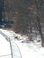 IMG_20260129_112657071.jpg IMG_20260129_112657071.jpg