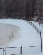 IMG_20260130_172143127~2.jpg IMG_20260130_172143127~2.jpg