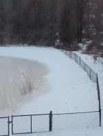 IMG_20260130_172144378~2.jpg IMG_20260130_172144378~2.jpg