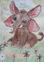 20260203_154713.jpg 20260203_154713.jpg