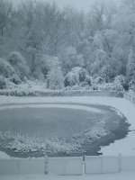 IMG_20260223_064209732.jpg IMG_20260223_064209732.jpg