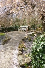 P1580248-smaller.jpg P1580248-smaller.jpg