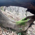 5 mein Tor zur Welt.jpg