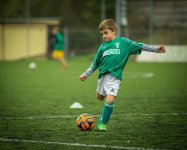 bottomlayercz0-child-613199_1920.jpg