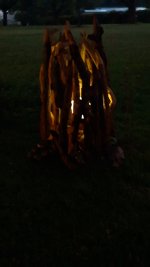 IMG-20260507-WA0024.jpeg
